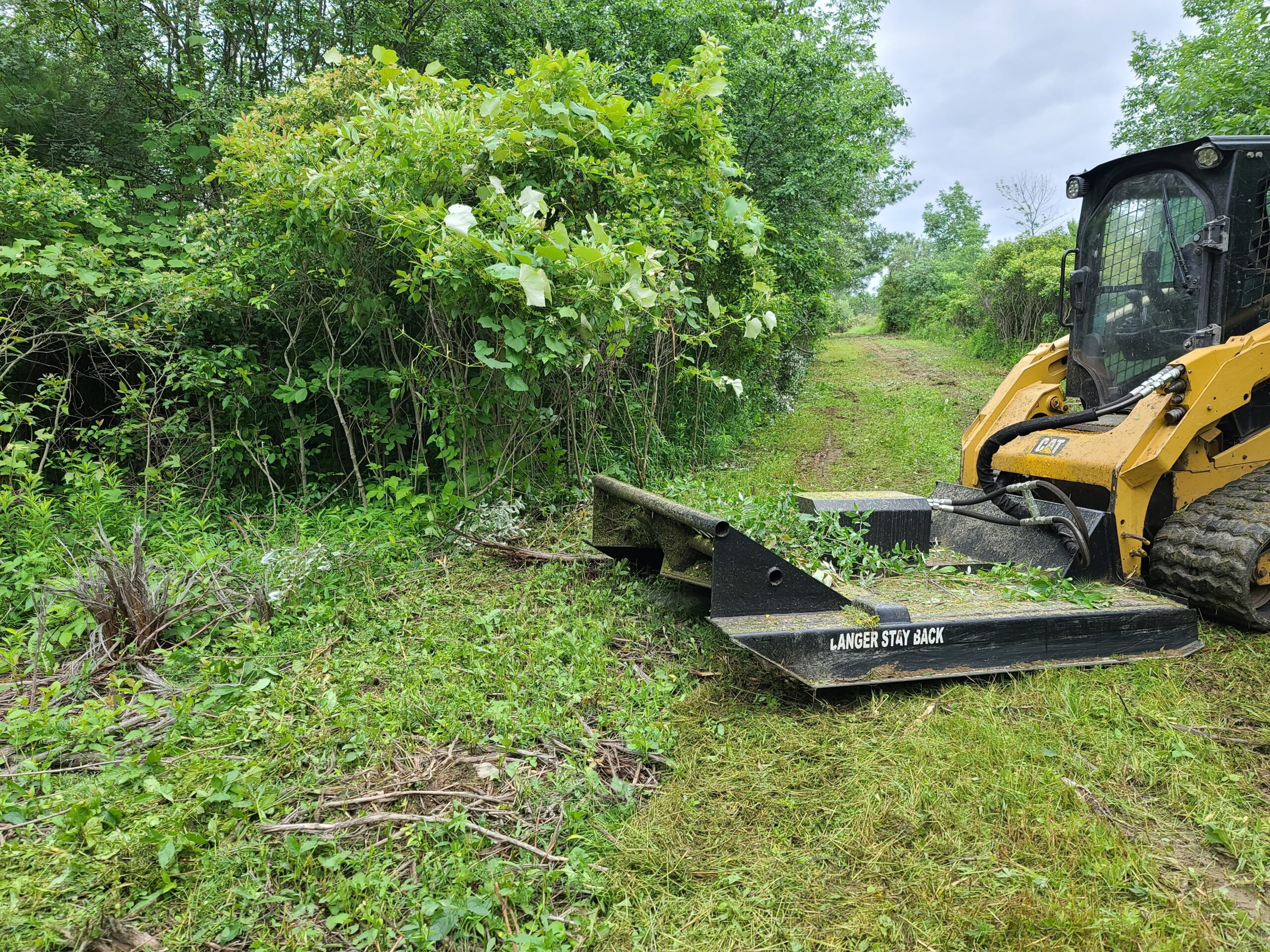 Land Clearing